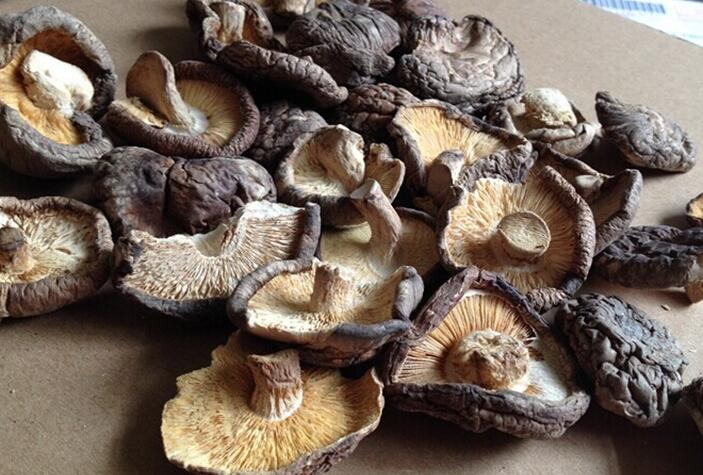 食用菌的干制加工 食用菌的干制加工